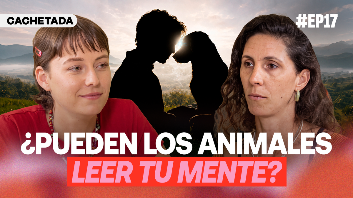 #EP17 - Sofi Pom